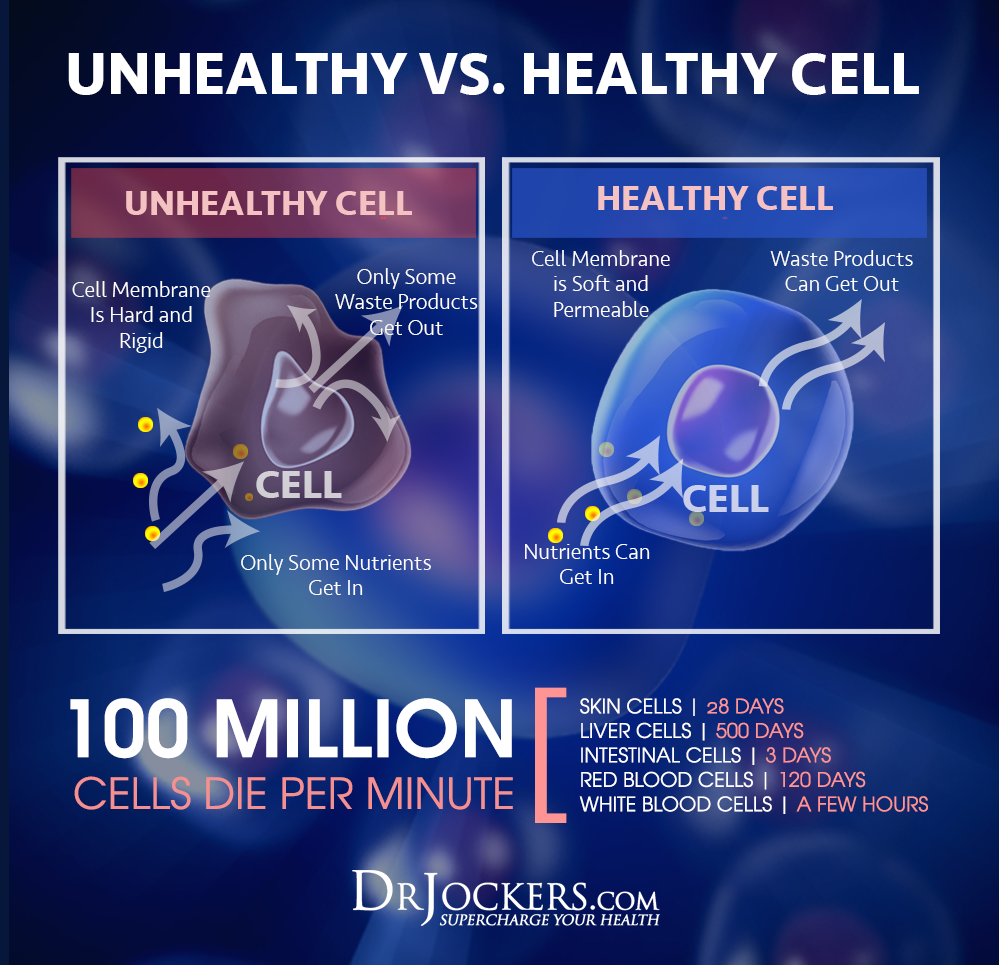 Lower Your Inflammation by Understanding 20:1 Ratio - Dr. Thaddeus Gala, DC