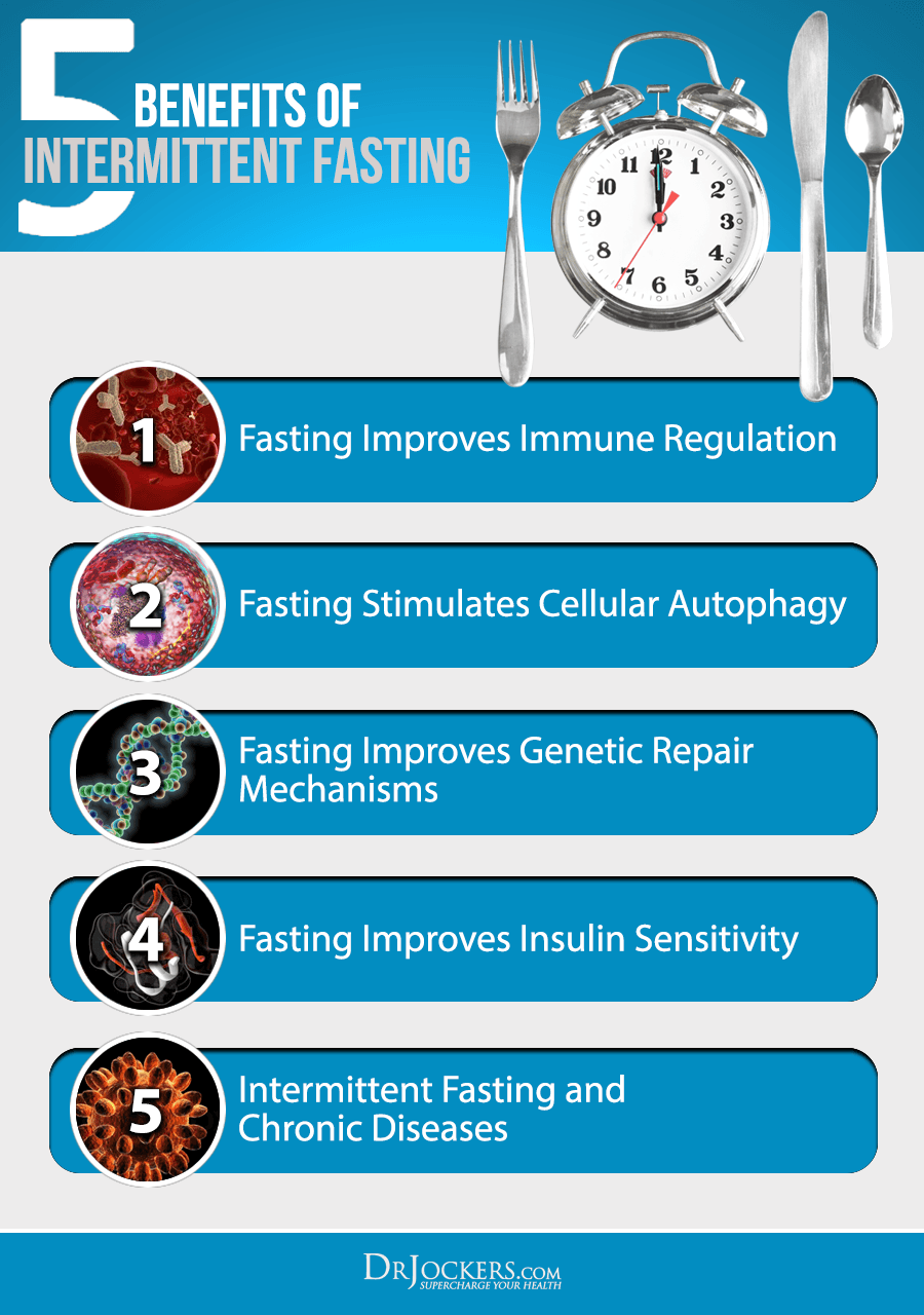 Intermittent Fasting, Intermittent Fasting Boosts Your Immune System
