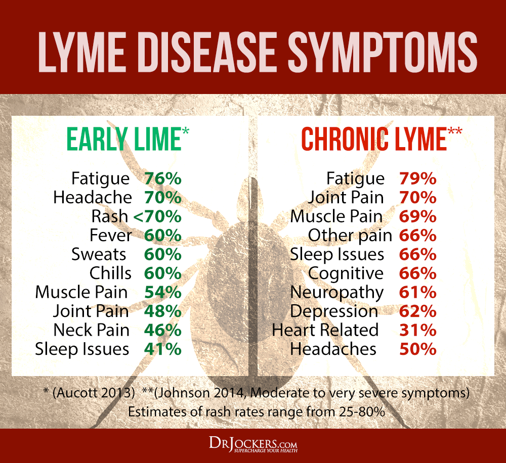 LYMEDISEASE Symptoms 