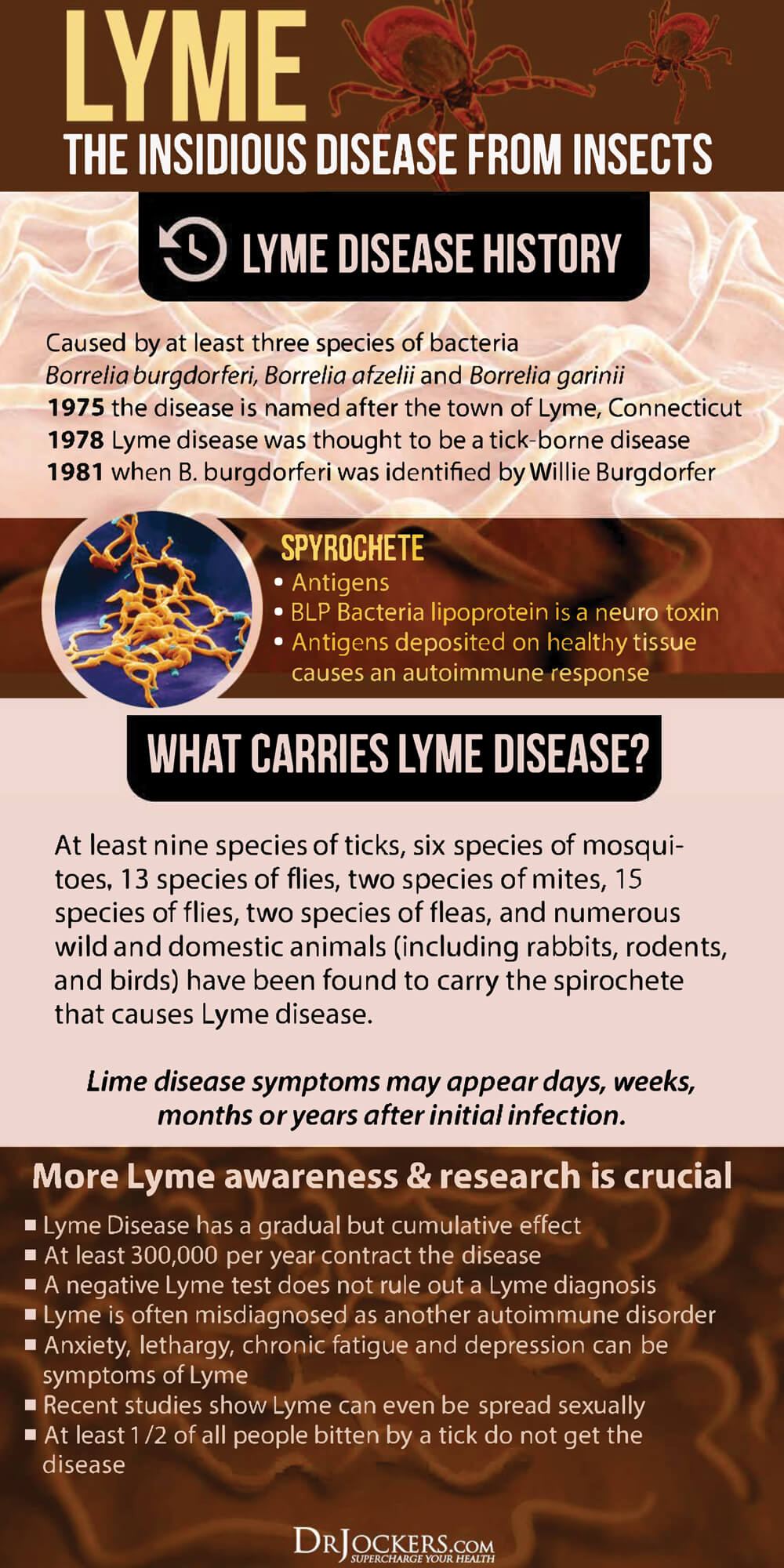 lyme disease, Chronic Lyme Disease: Symptoms, Causes, and Coinfections