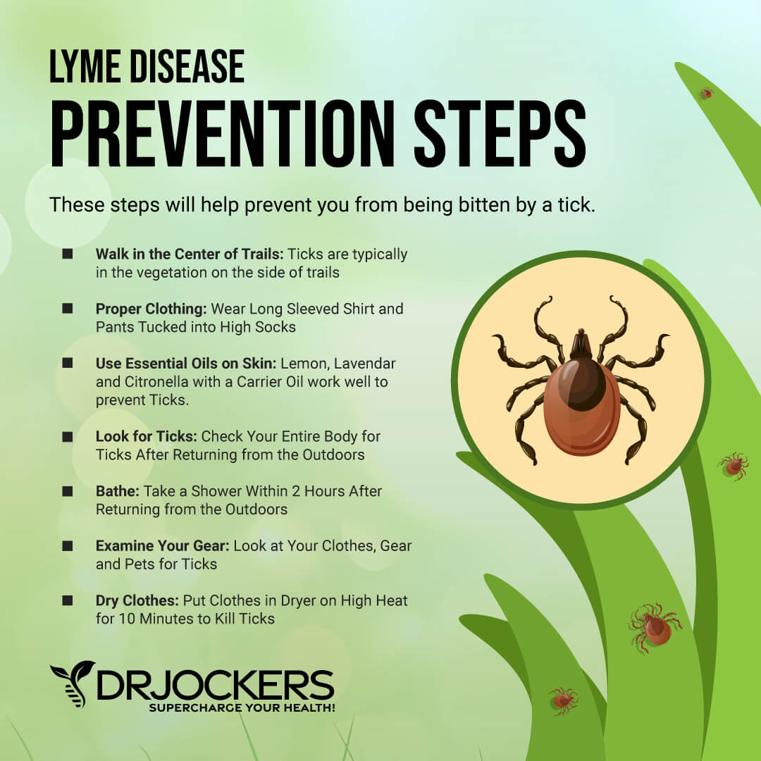 lyme