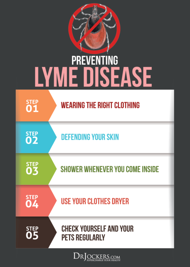 lyme-disease-symptoms-causes-and-natural-support-strategies