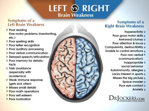 Top 12 Strategies to Blast Brain Fog - DrJockers.com