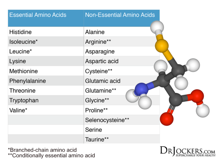 5 Reasons You May Have an Amino Acid Deficiency