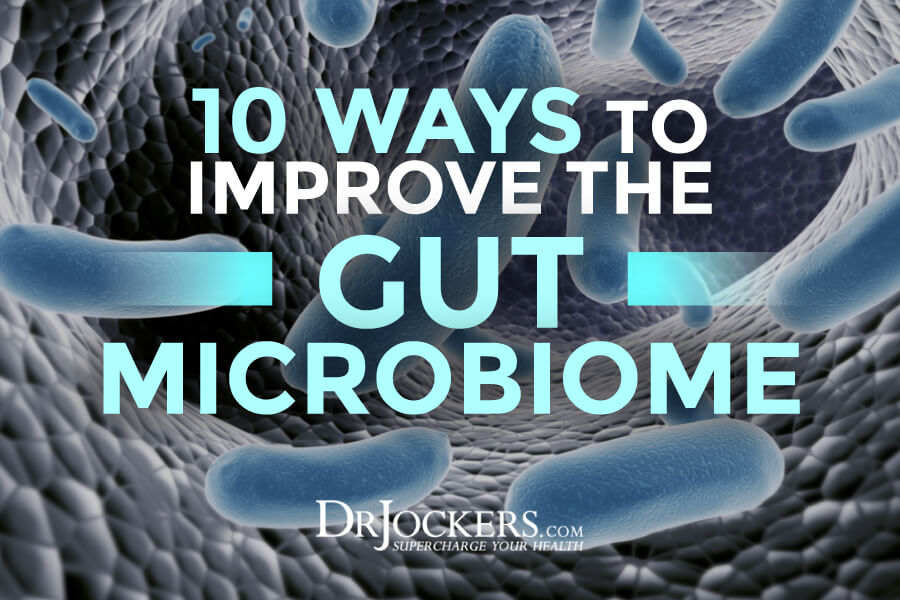gut Microbiome, 10 Ways To Improve The Gut Microbiome