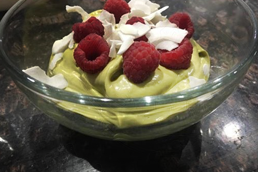 protein pudding, Gut Healing Protein Pudding
