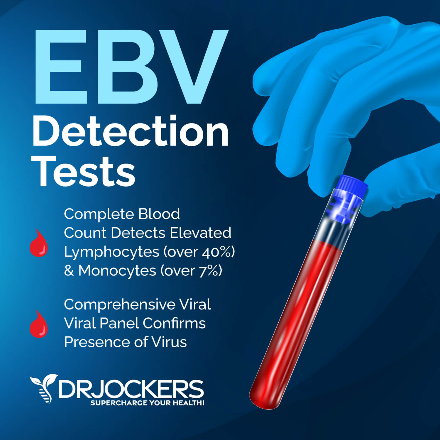 epstein barr virus