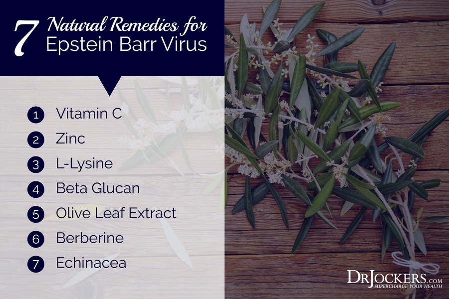 Epstein Barr, Epstein Barr Virus:  Symptoms, Causes and Support Strategies