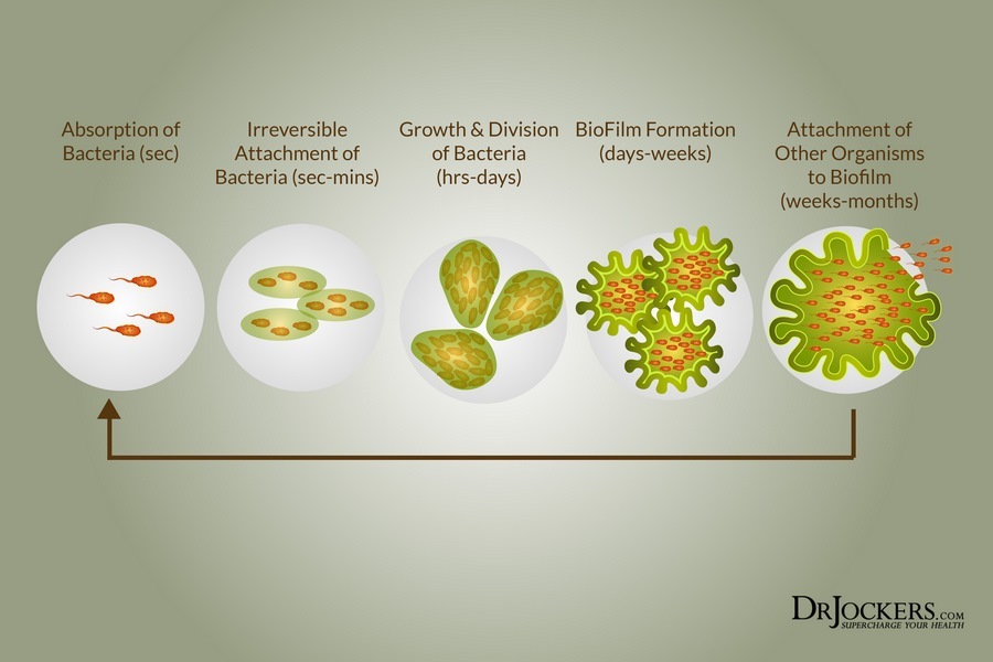 biofilms