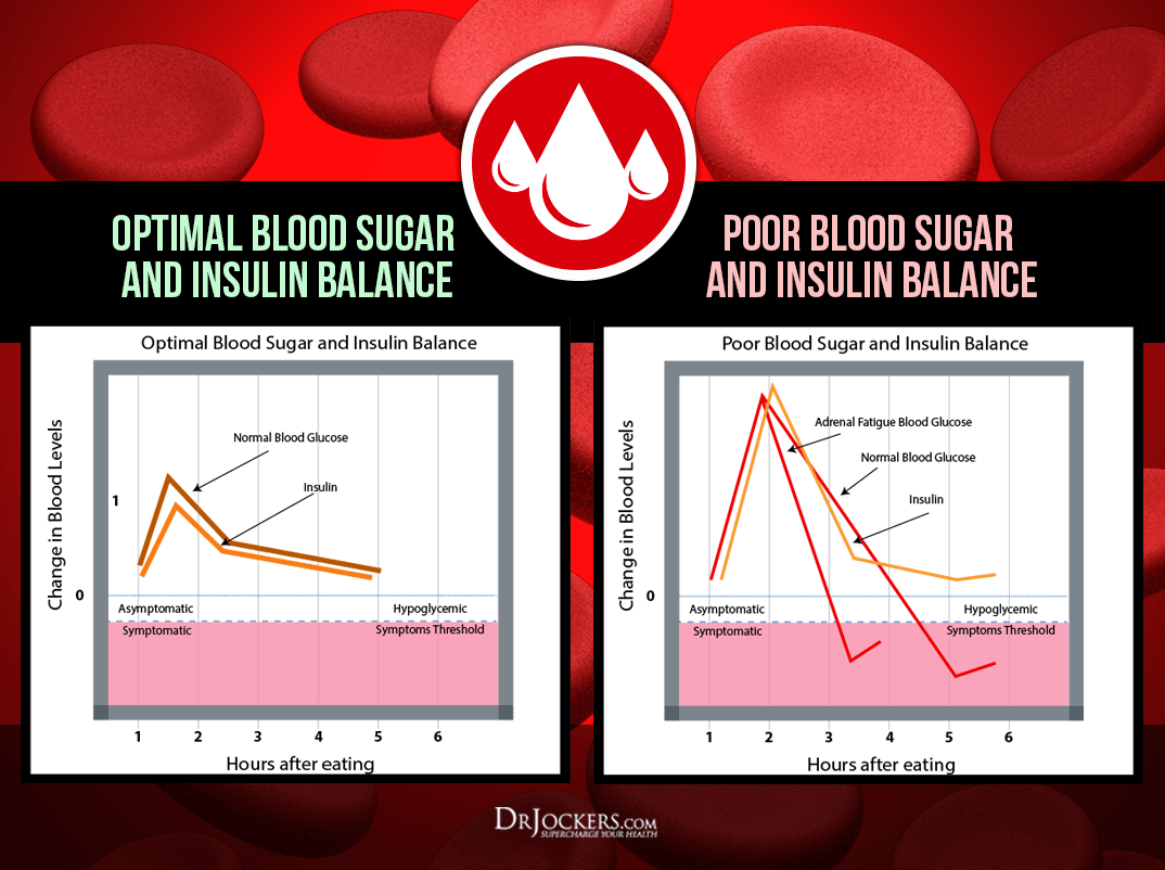 healthy blood sugar, Top 7 Herbs To Support Healthy Blood Sugar Levels