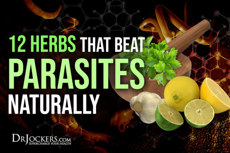 12 Herbs That Kill Parasites Naturally