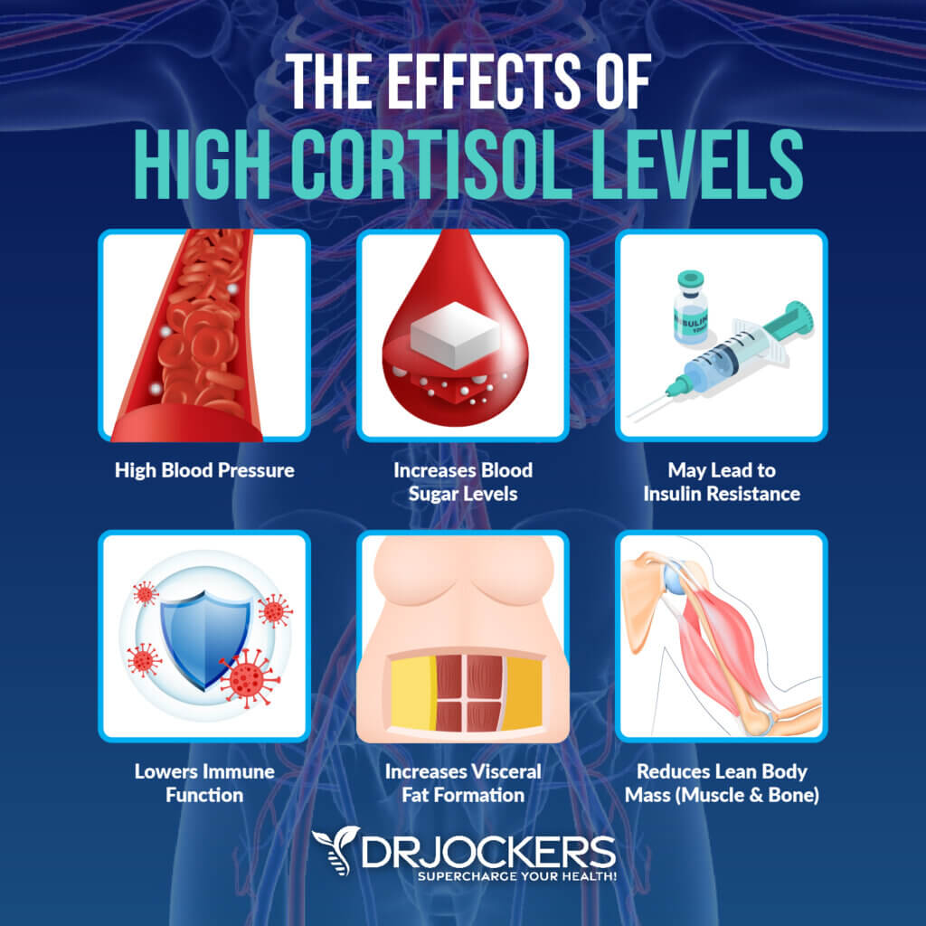 7 Ways To Balance Cortisol Levels - DrJockers.com