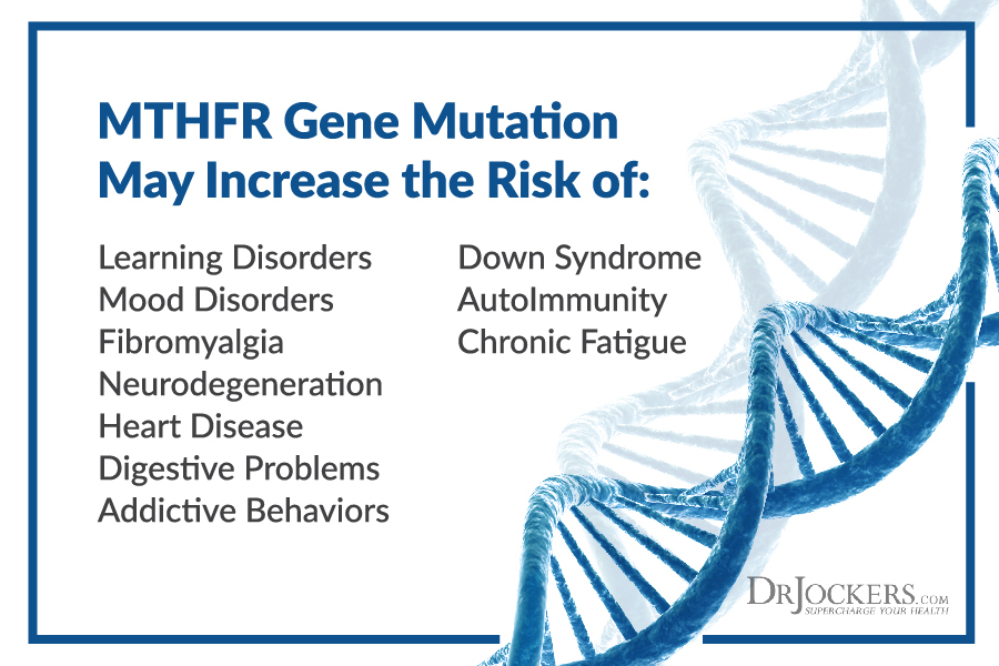 MTHFR, What Is The MTHFR Gene Mutation?