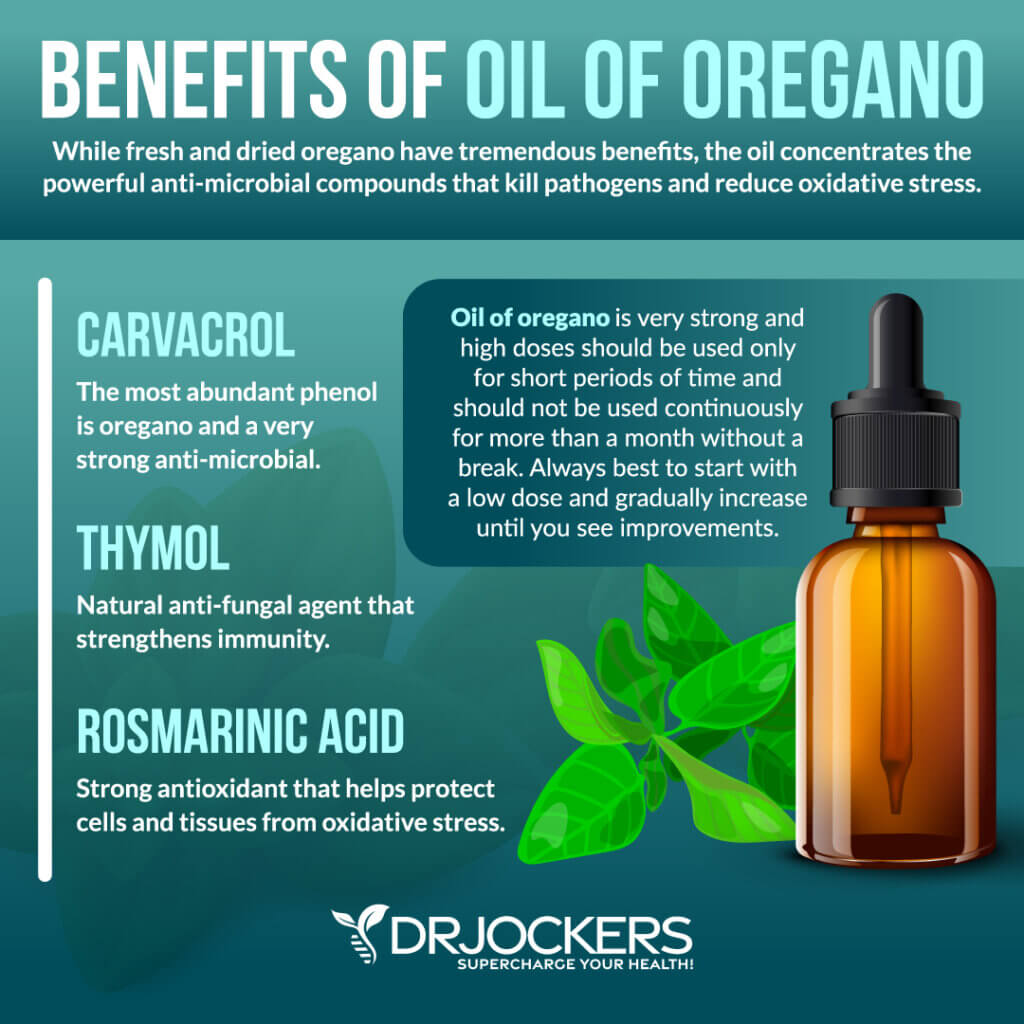 12 Herbs That Kill Parasites Naturally