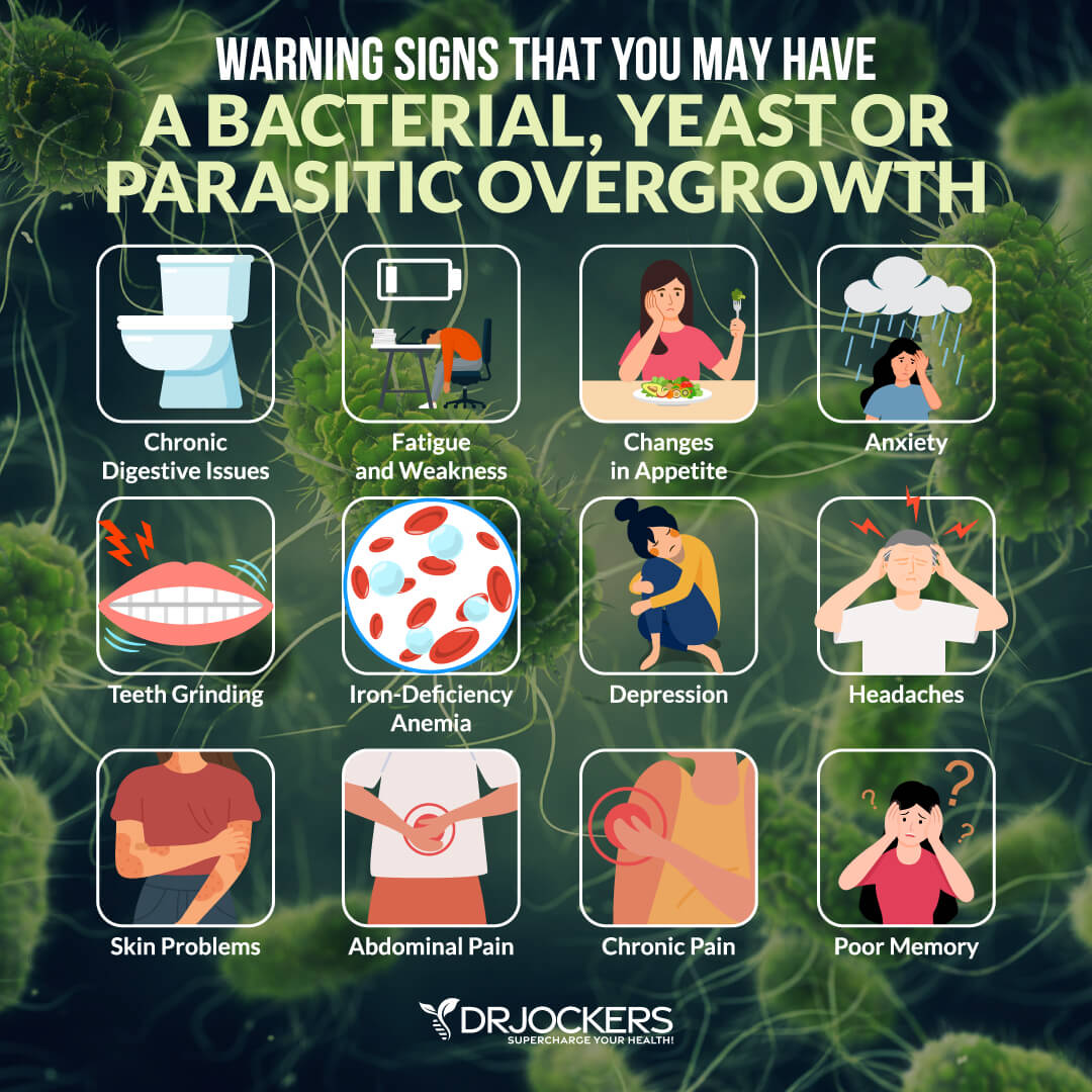 Main Symptoms of a Parasitic Infection