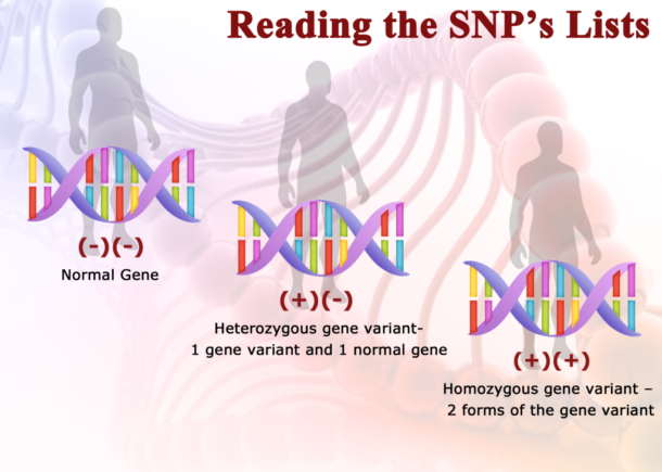 What Is The MTHFR Gene Mutation And Its Role In Health?