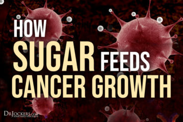 Sugar Feeds Cancer, How Sugar Feeds Cancer Growth