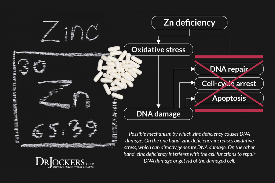 Zinc Levels, How To Test Zinc Levels At Home