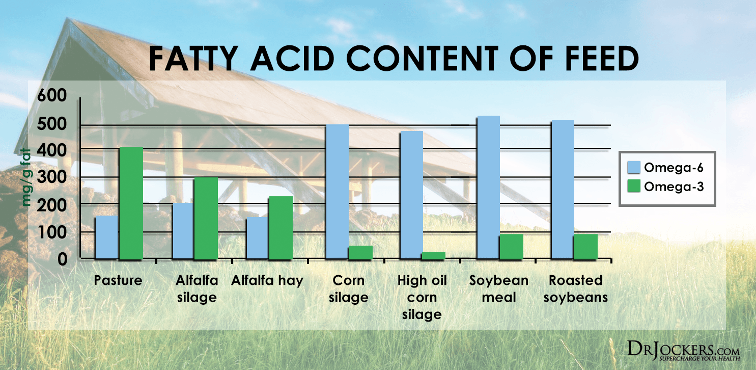 6-powerful-nutrients-and-ways-to-use-grass-fed-butter