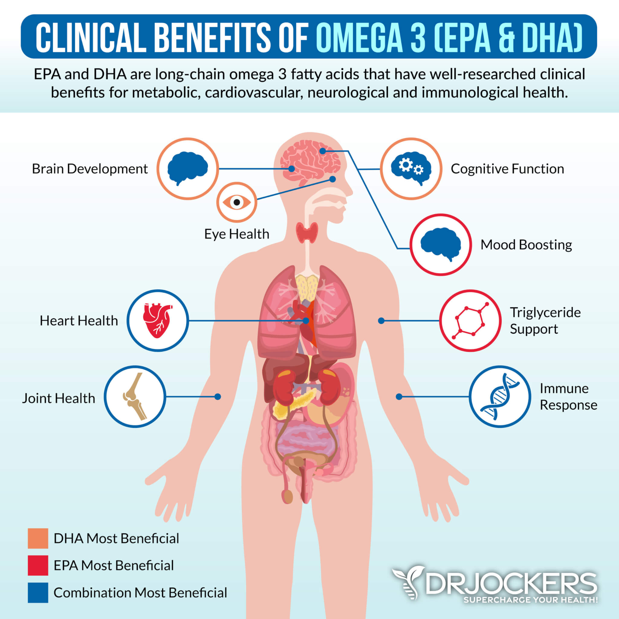 Top 8 Health Benefits of Omega 3 Fatty Acids DrJockers