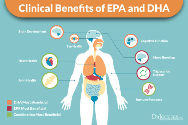 10 Benefits of Cod Liver Oil (#5 is Key!) - DrJockers.com