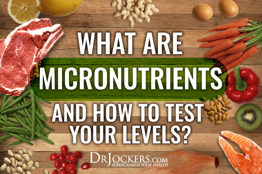 Micronutrients, What Are Micronutrients and How to Test Your Levels?