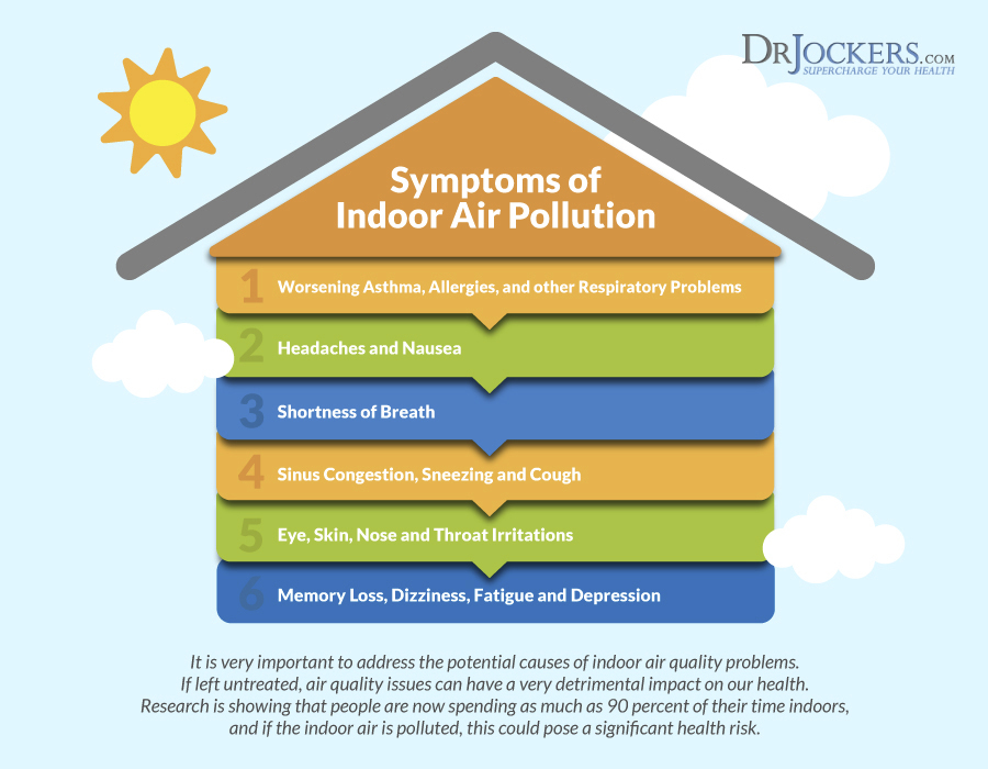 Black Mold, Black Mold: Indoor Air and Health Effects