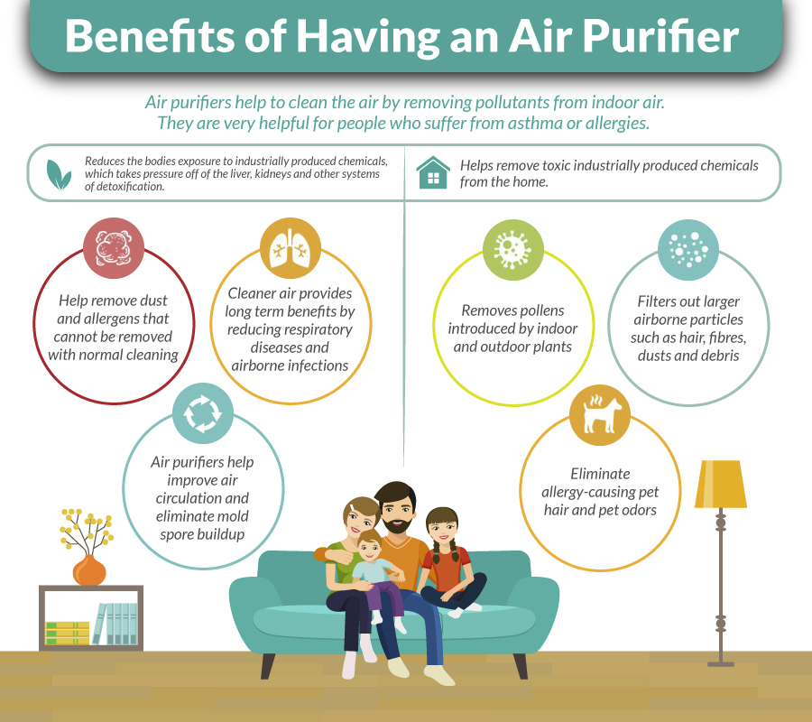 Best Air Purifier, How to Pick the Best Air Purifier for Home Detoxification