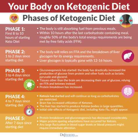 Keto Metabolic Makeover (Burn Fat for Fuel!) - DrJockers.com