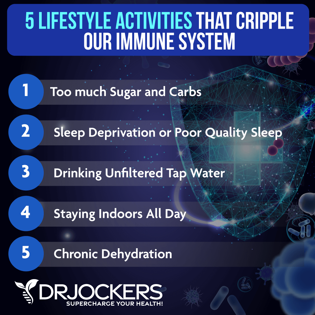 Immune System, 5 Lifestyle Activities that Cripple Our Immune System