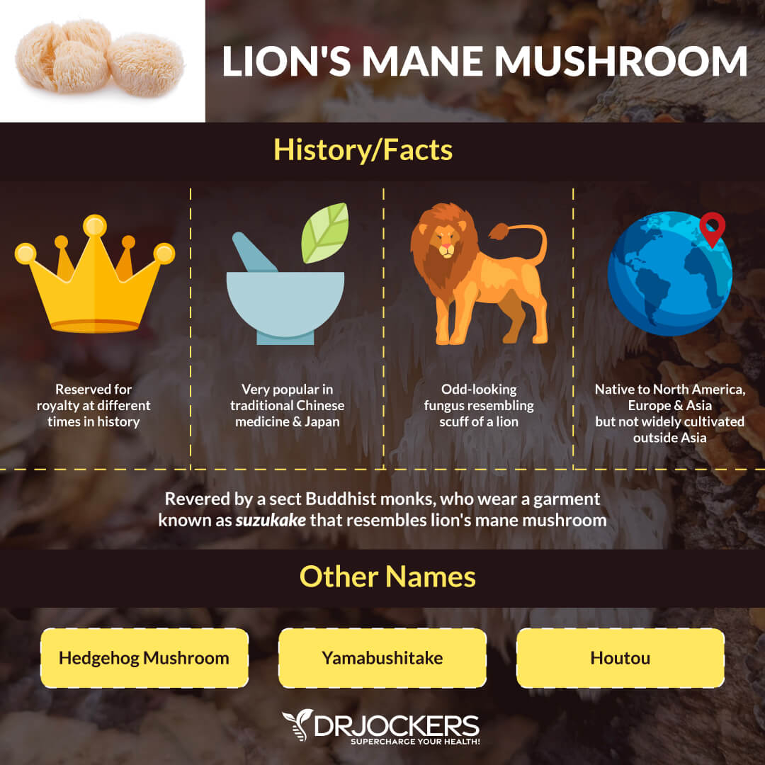 lions mane