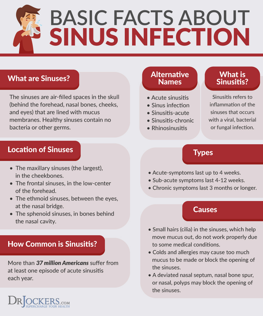 Sinus Infections Causes Symptoms Natural Support Strategies