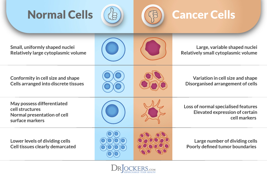 nutrients, Special Nutrients that Turn off Cancer Cells