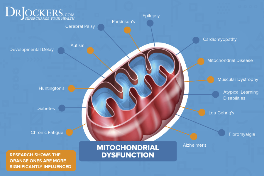 Mitochondrial Dysfunction Cover