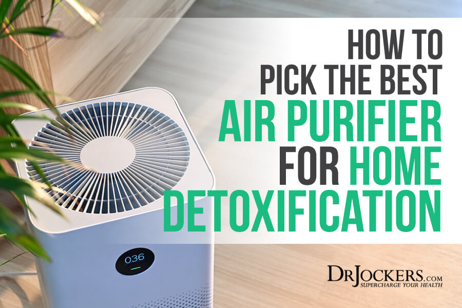 Best Air Purifier, How to Pick the Best Air Purifier for Home Detoxification
