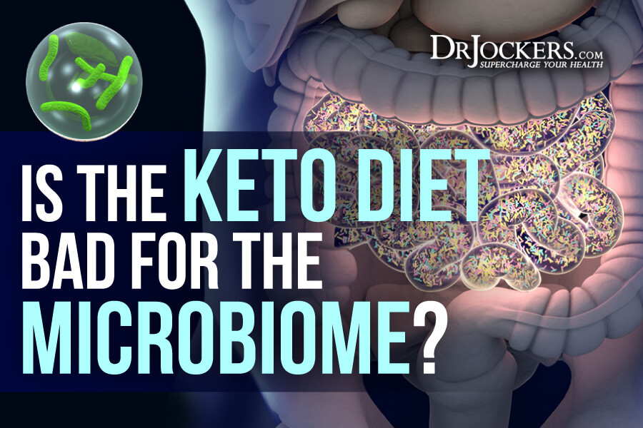 Keto Diet, Is the Keto Diet Bad for the Microbiome?
