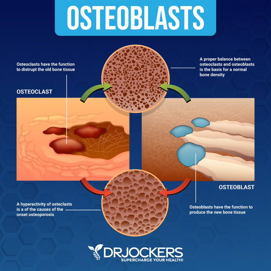 osteoporosis