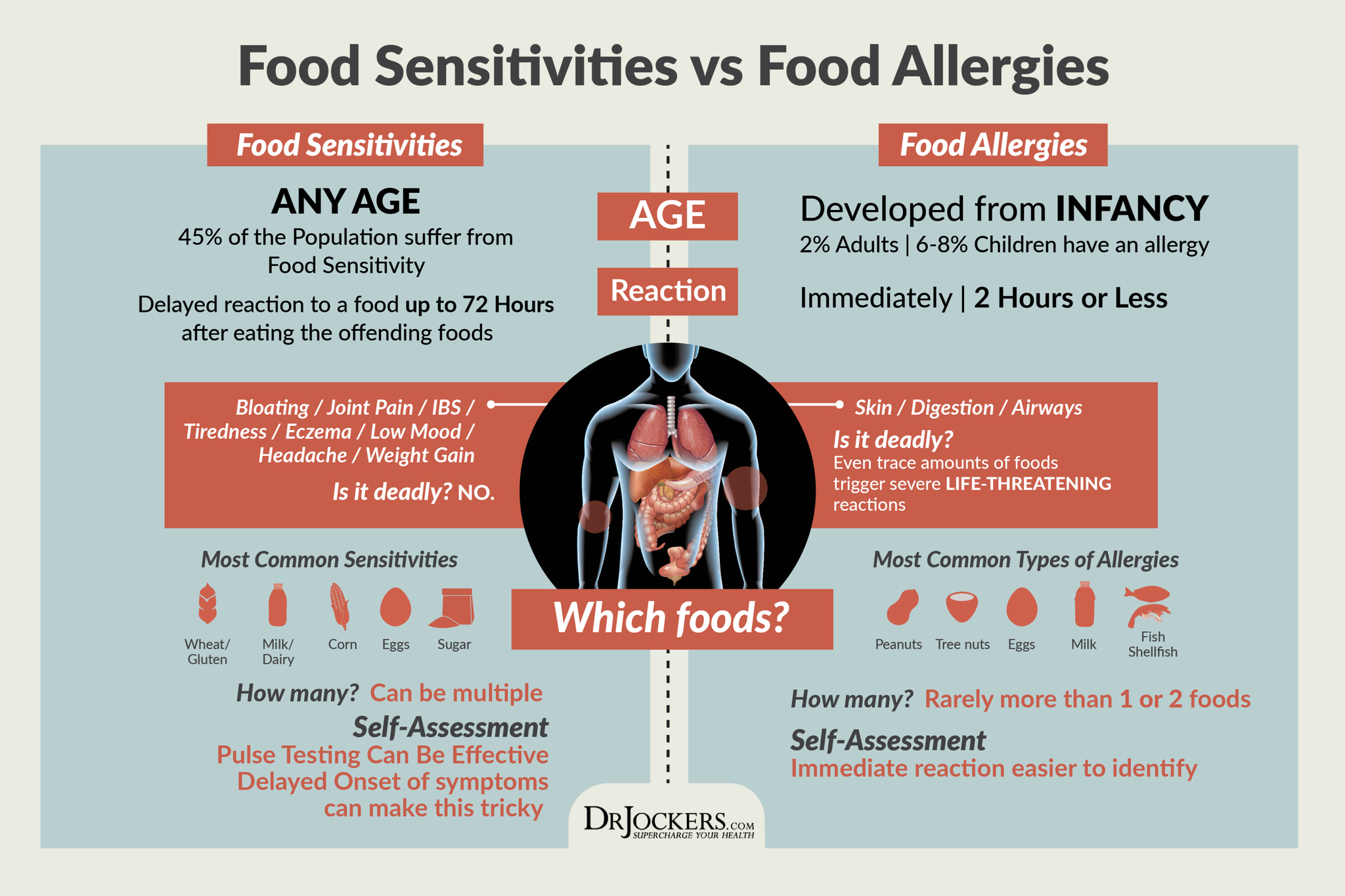 Food Sensitivity, Food Sensitivity Dried Blood IgG