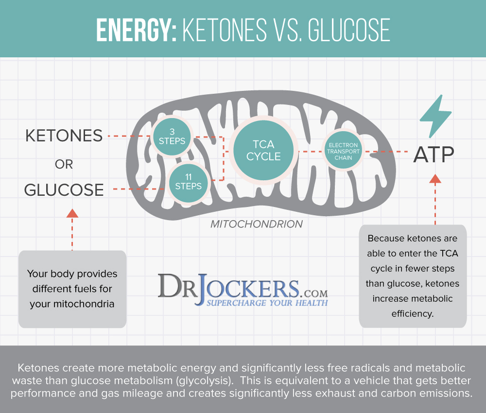 brain, 6 Ways A Ketogenic Diet Improves Brain Function