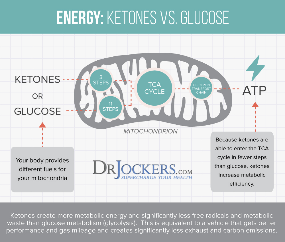 mitochondrial health, Mitochondrial Health: 5 Ways to Improve Cellular Energy