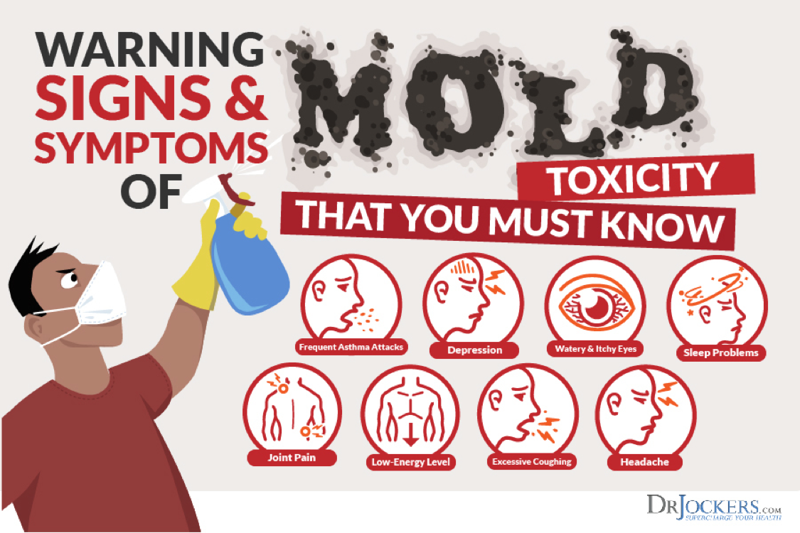 mold exposure, Mold Exposure: Signs of Mold Growth &#038; Health Risks