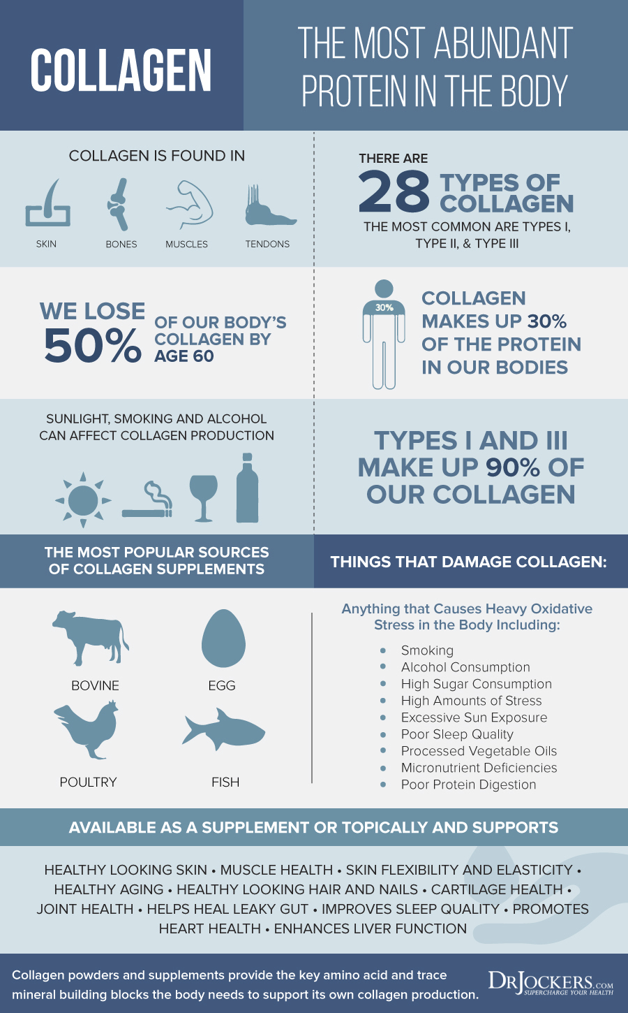 collagen, Collagen: 9 Reasons Why This Improves Your Health, gelatin