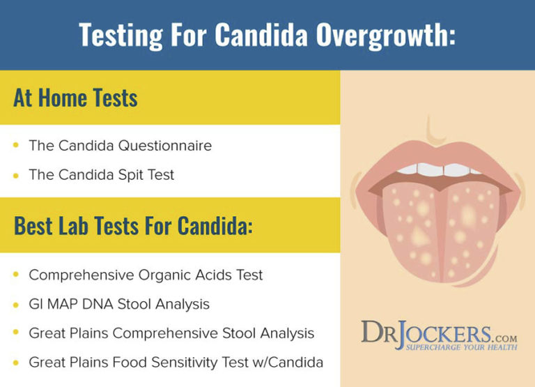 Candida Overgrowth: Best Home & Lab Tests - DrJockers.com