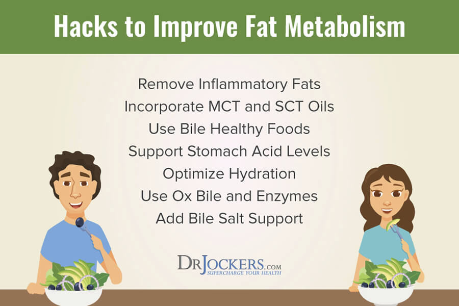 Trouble Digesting Fats, Trouble Digesting Fats? 8 Hacks to Improve Fat Metabolism