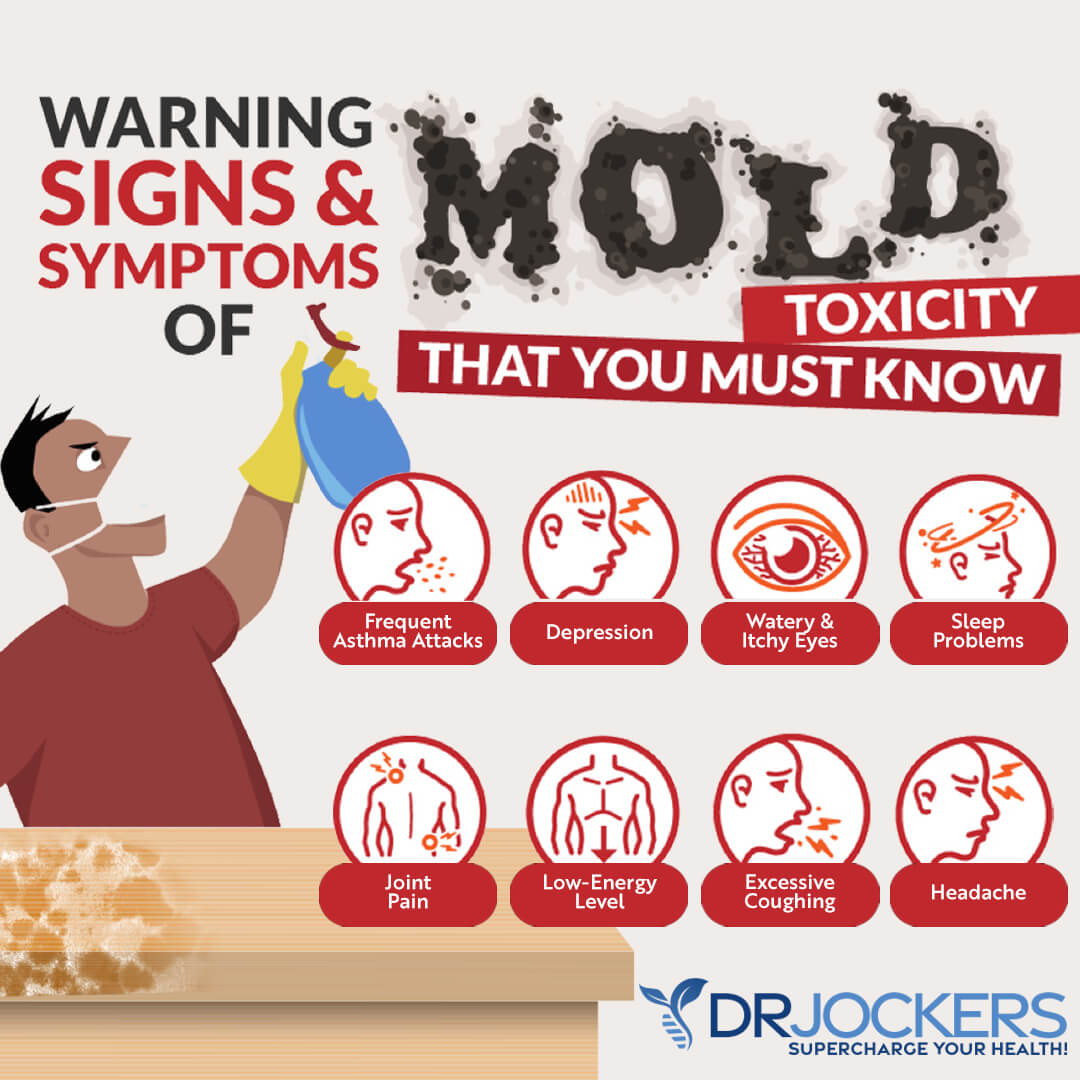 Mold Allergy Symptoms, Allergy Test for Mold