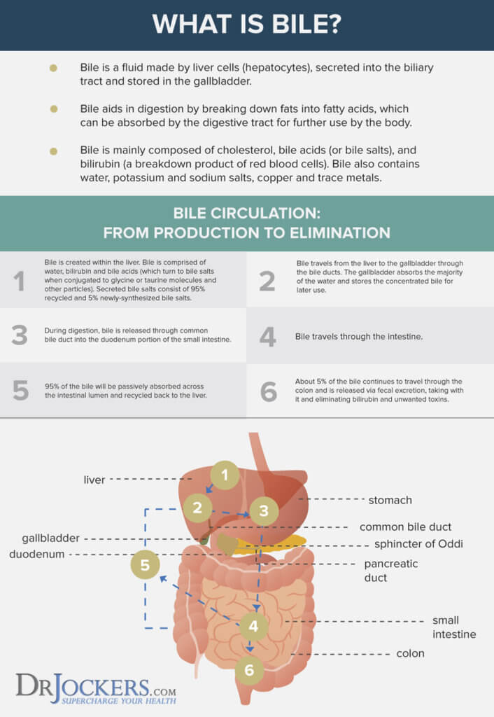 Bile what is it how to improve liver and gallbladder health