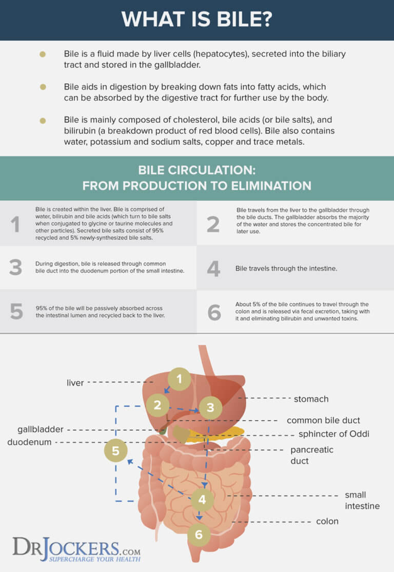 Bile What is it? How to Improve Liver and Gallbladder Health