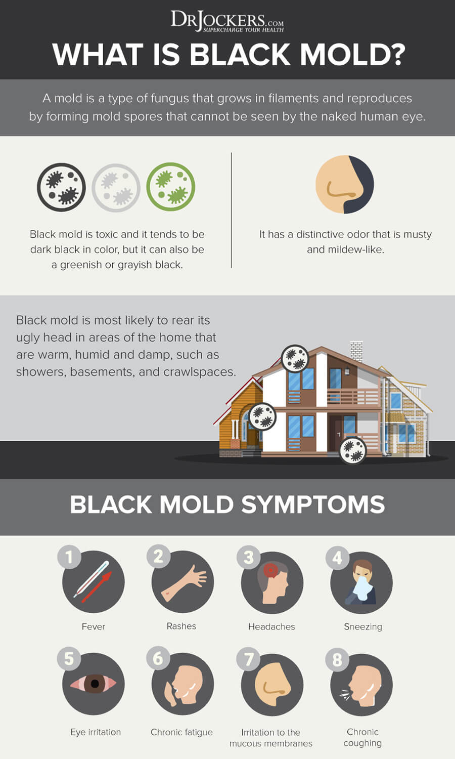 Black Mold, Black Mold: Indoor Air and Health Effects