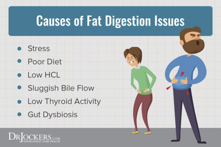 Bile: What is it? How to Improve Liver and Gallbladder Health