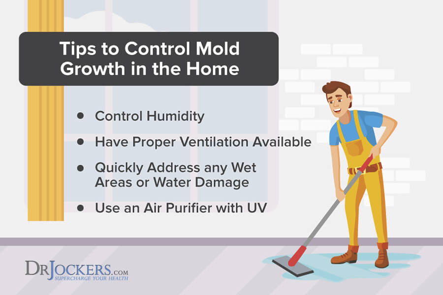 mold toxicity, Mold Toxicity: The Effects of Living in A House with Mold